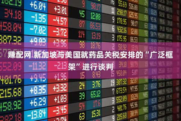 赚配网 新加坡与美国就药品关税安排的“广泛框架”进行谈判