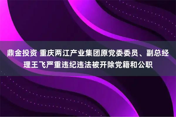 鼎金投资 重庆两江产业集团原党委委员、副总经理王飞严重违纪违法被开除党籍和公职