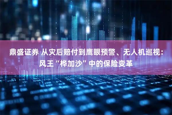 鼎盛证券 从灾后赔付到鹰眼预警、无人机巡视：风王“桦加沙”中的保险变革