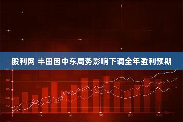 股利网 丰田因中东局势影响下调全年盈利预期